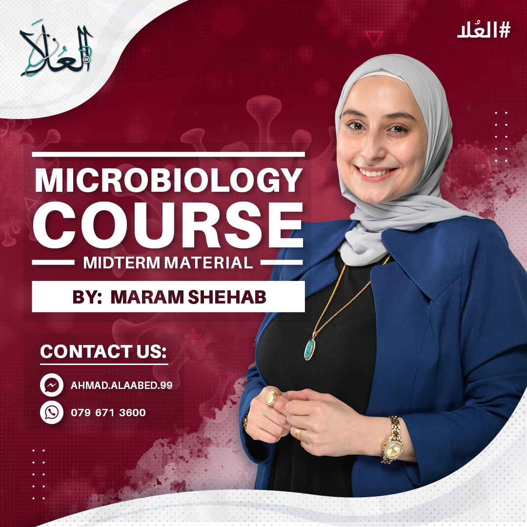 photos/courses/8/Maram Shehab.png